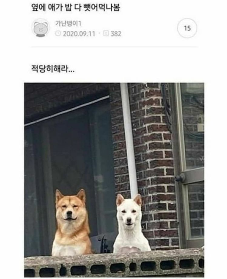 웃고가라 | 인스티즈