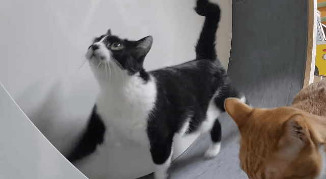 자기 아들 주려고 남의 딸 노는 거 뺏는 엄마;; | 인스티즈