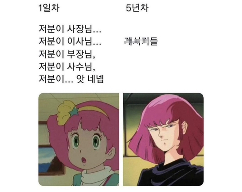 직장인의 이해 | 인스티즈