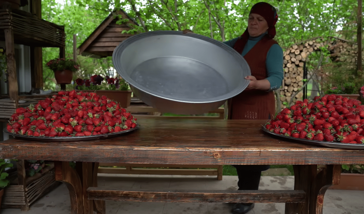요즘 유튜브에서 은근히 인기 많다는 외국 시골 브이로그...jpg | 인스티즈