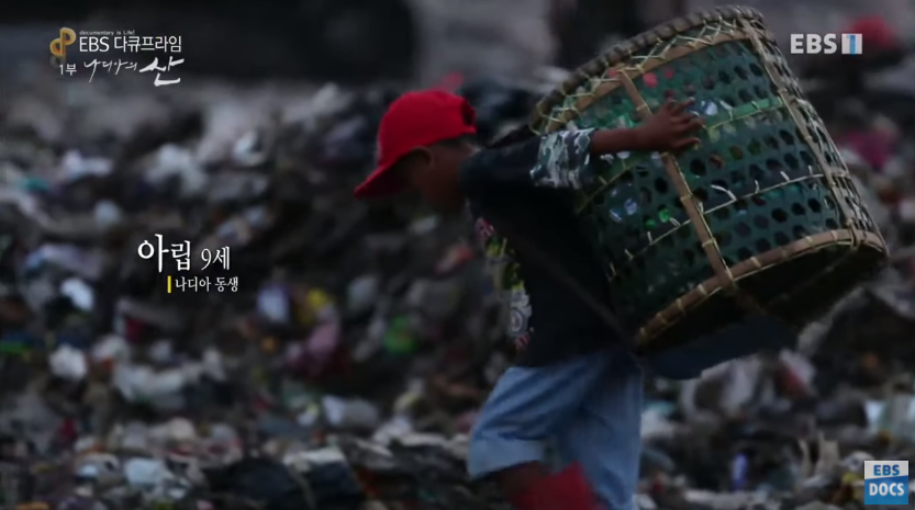 자극적 영상이 많아진 요즘, 안보면 후회하는 글 | 인스티즈