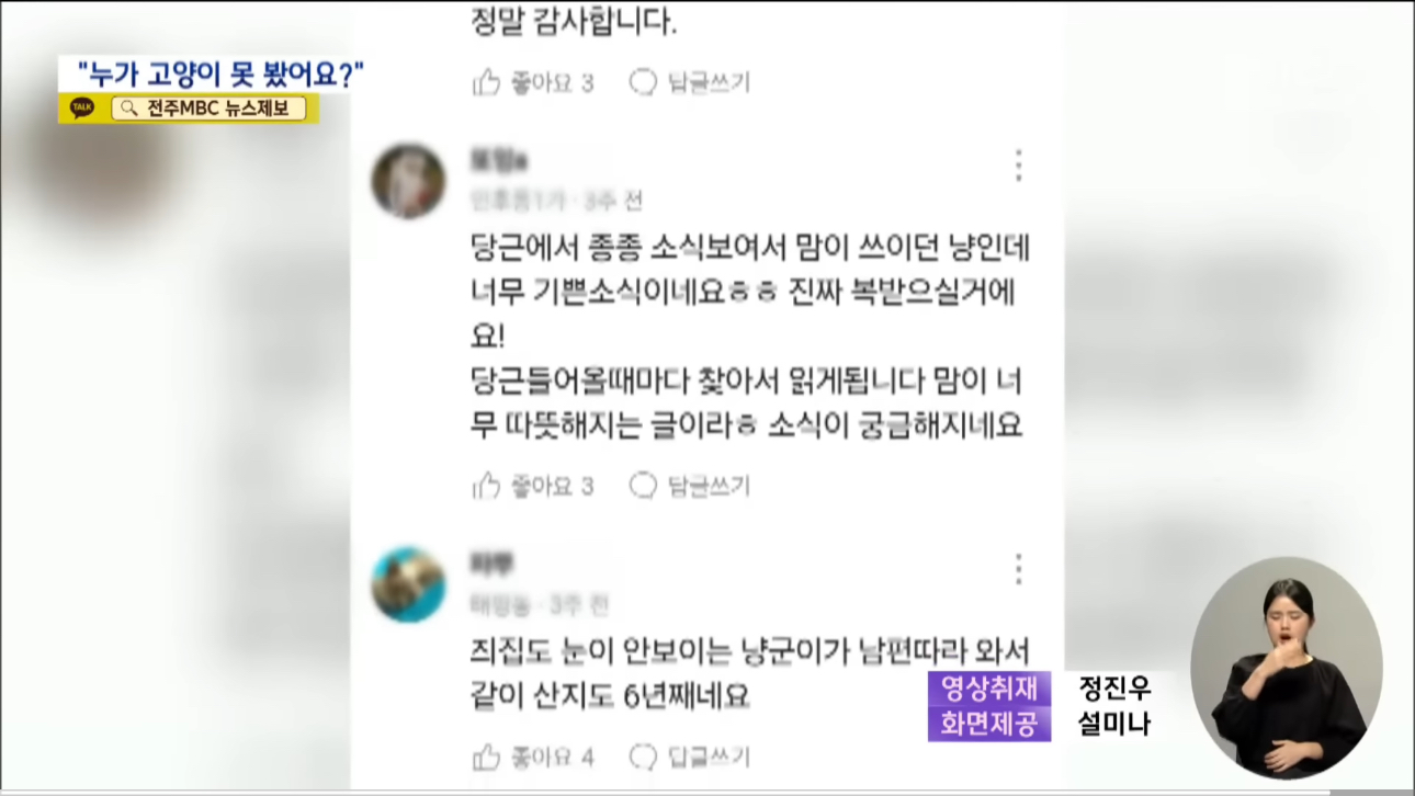 '눈먼 길고양이' 구조작전.. 훈훈한 쪽지 릴레이 | 인스티즈