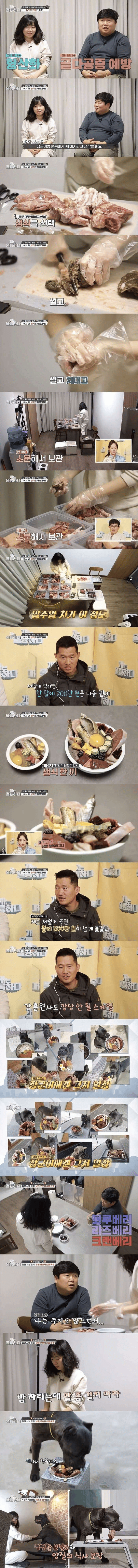 개밥에 월200씩 쓰는 와이프 | 인스티즈