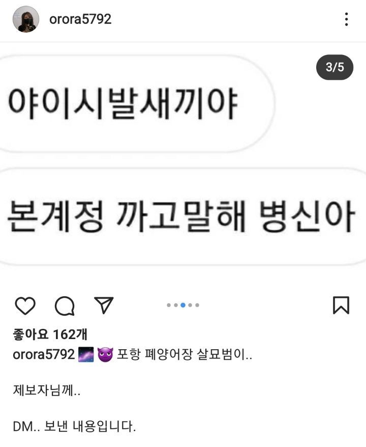 포항 고양이 살해범이 제보자한테 고양이처럼 가죽 벗겨주겠다 살해 협박중 🚨🚨🚨 | 인스티즈