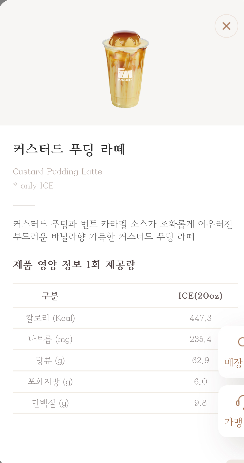 매머드커피 푸딩 음료 출시 | 인스티즈