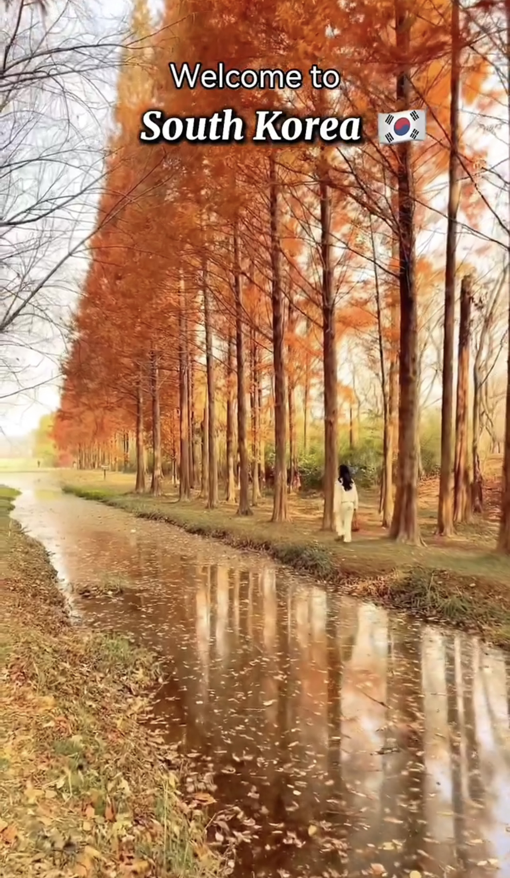 트위터에서 화제되었던 외국인이 소개하는 한국의 관광 여행지들 | 인스티즈