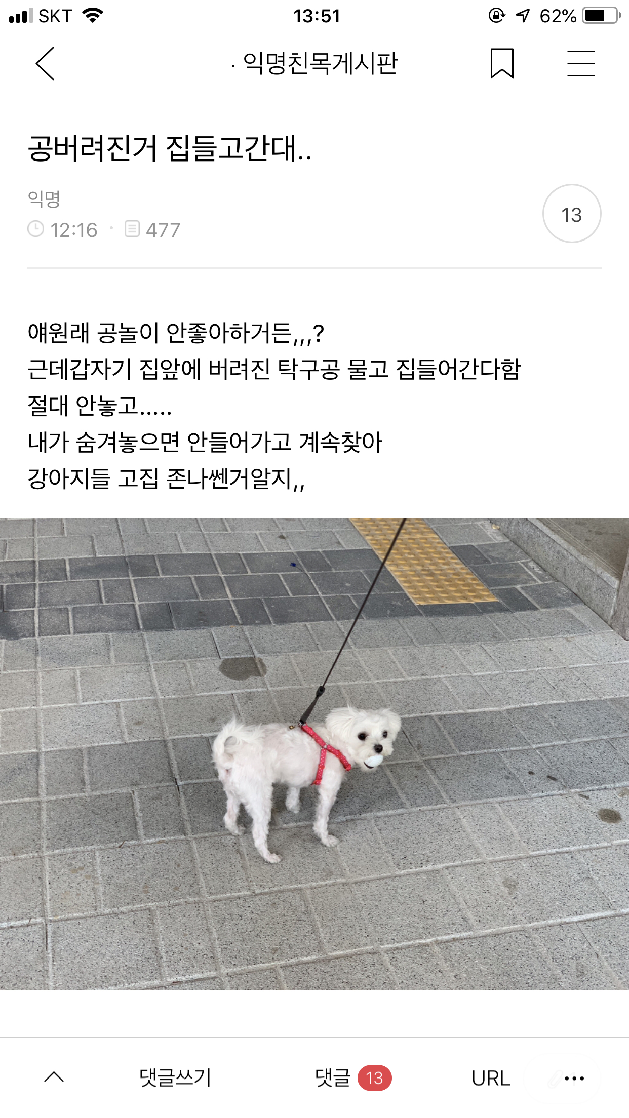토요일 : 쌕스데이.jpg | 인스티즈