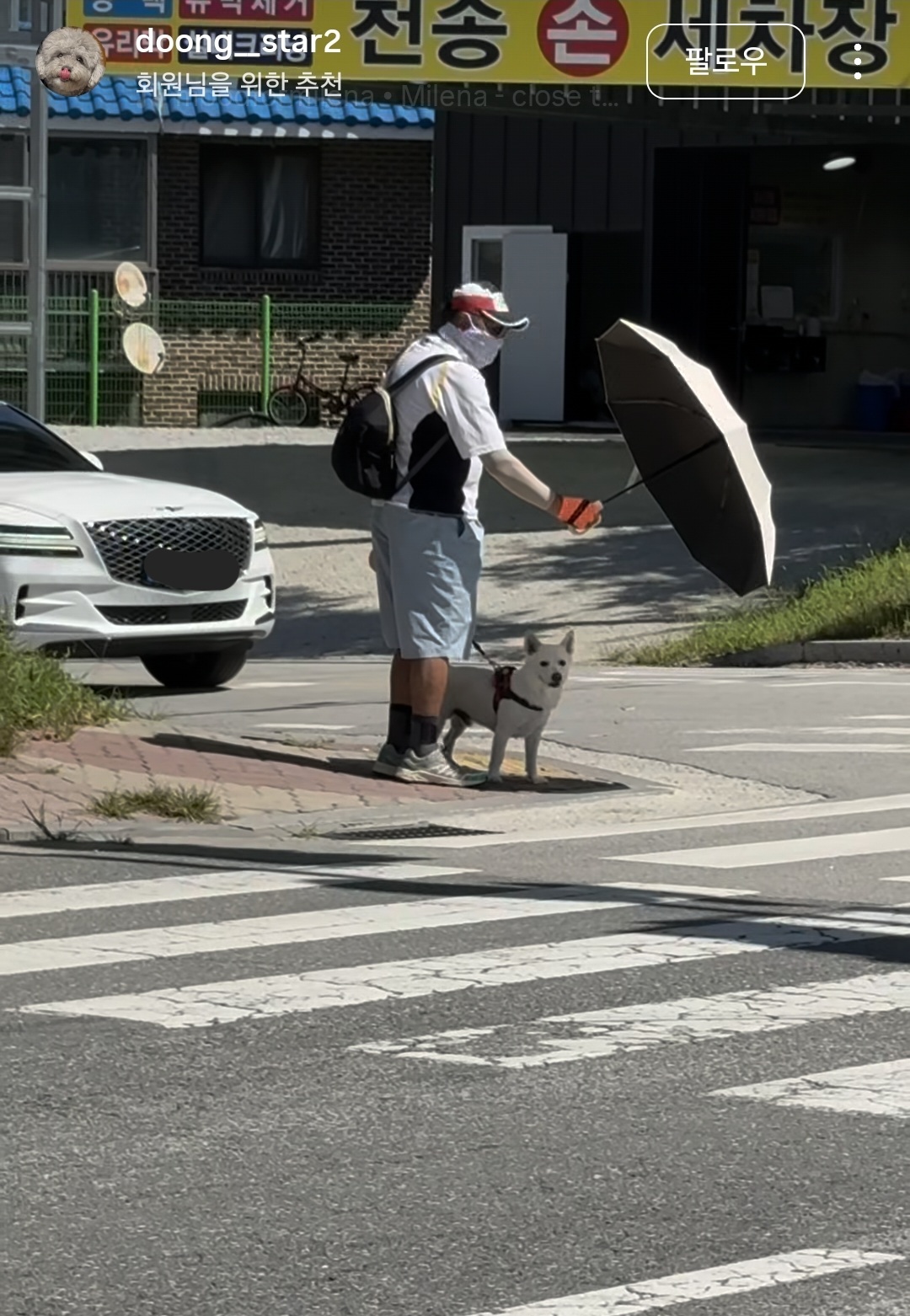 너무 스윗한 할아버지와 사랑받고 사는 강아지 | 인스티즈