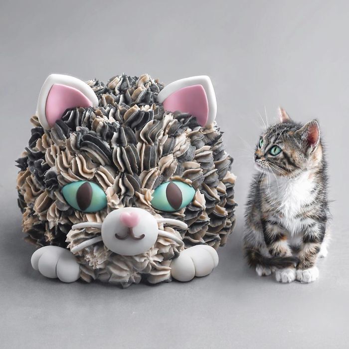 비건 채식주의자를 위한 디저트 | 인스티즈