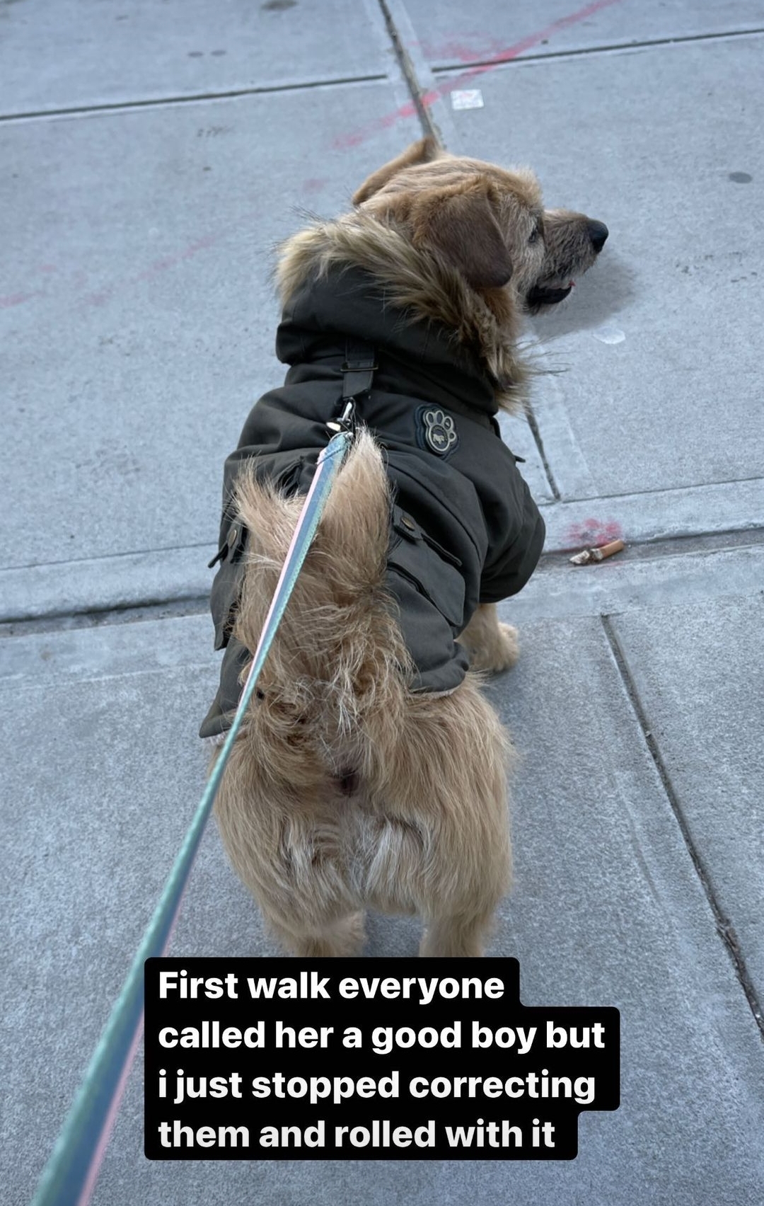 아콰피나가 키우는 한국 유기견 출신 행운이 | 인스티즈