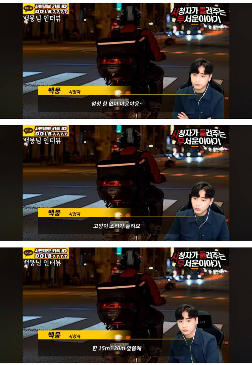 배달기사를 구해준 고양이🐈🥺[돌비공포라디오 시들무] | 인스티즈