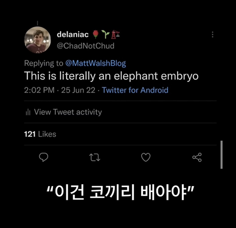 너네 진심 이게 사람이라고 생각해? | 인스티즈