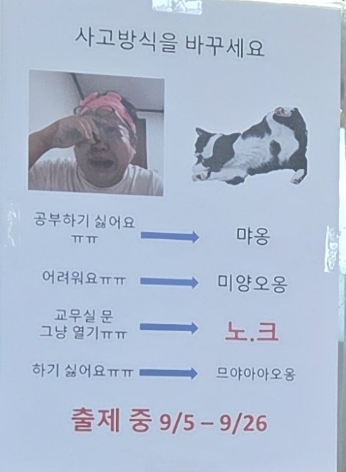 요새 학교 쌤들 ㅈ MZ임 | 인스티즈