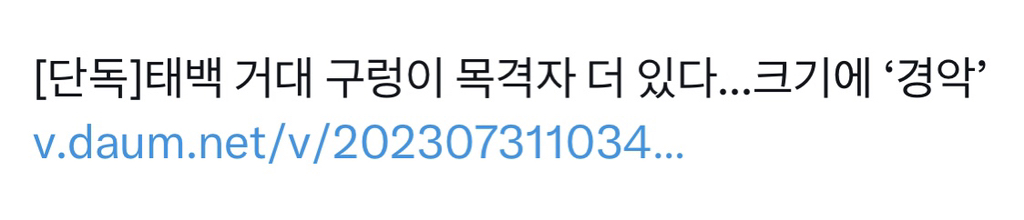 ...크기에 '경악' 태백 거대 구렁이의 최종 목적지 | 인스티즈