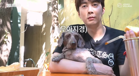 SS501 김형준 개사기 사건 + 현재 | 인스티즈