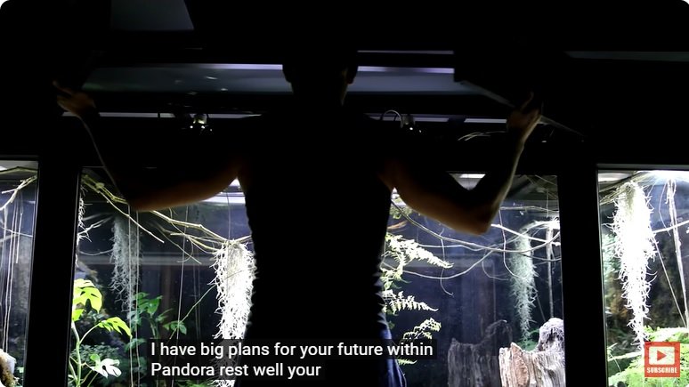 거대한 수조에 열대우림 환경을 조성해놓으면 생기는 일 - 3 | 인스티즈