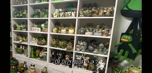 엄마가 30년 동안 모은 개구리방.jpg | 인스티즈
