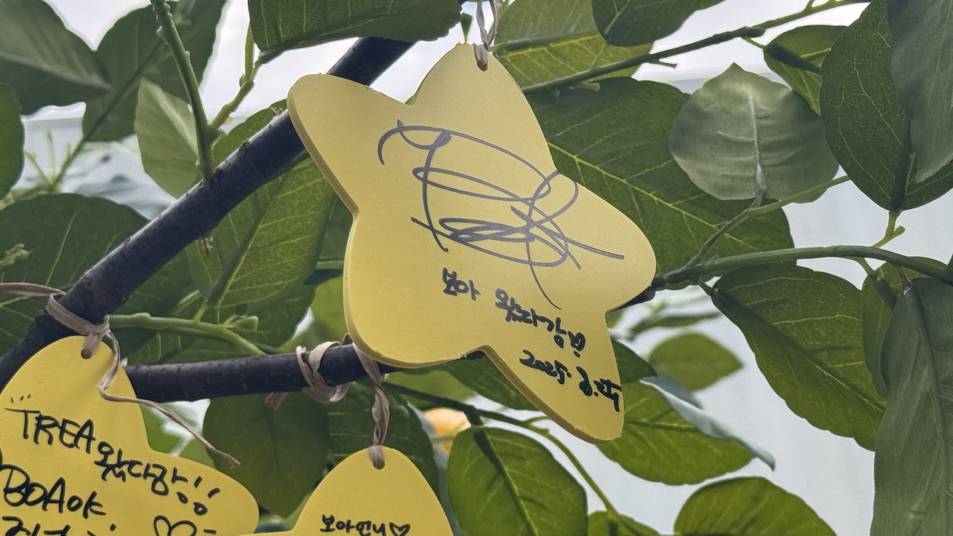 수술 후 처음으로 팬들앞에 나타난 오늘자 보아 근황 | 인스티즈