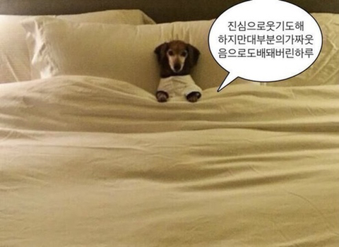 인스타 부계에 힘들때마다 올린짤 모음Zip | 인스티즈