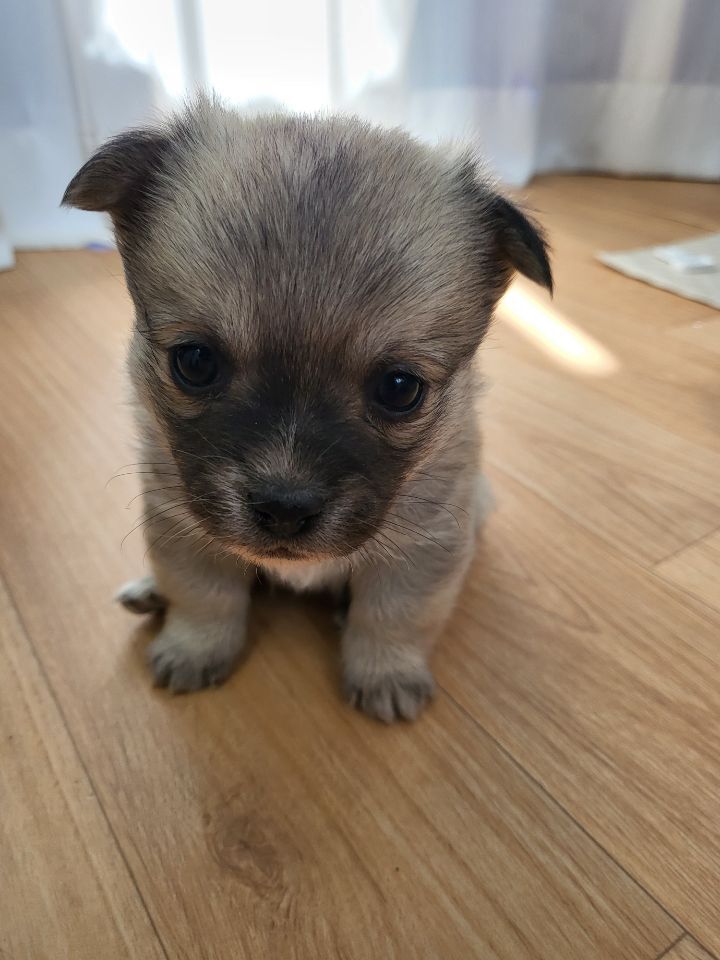 (공지라니... ++추가)새로생긴 회사 복지.. 미쳐서 도저히 일을 못하겠네.. (추가....)++추가 | 인스티즈