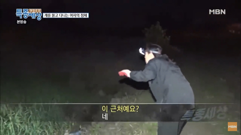 당신이 버린 강아지는 어떻게 되었을까 | 인스티즈