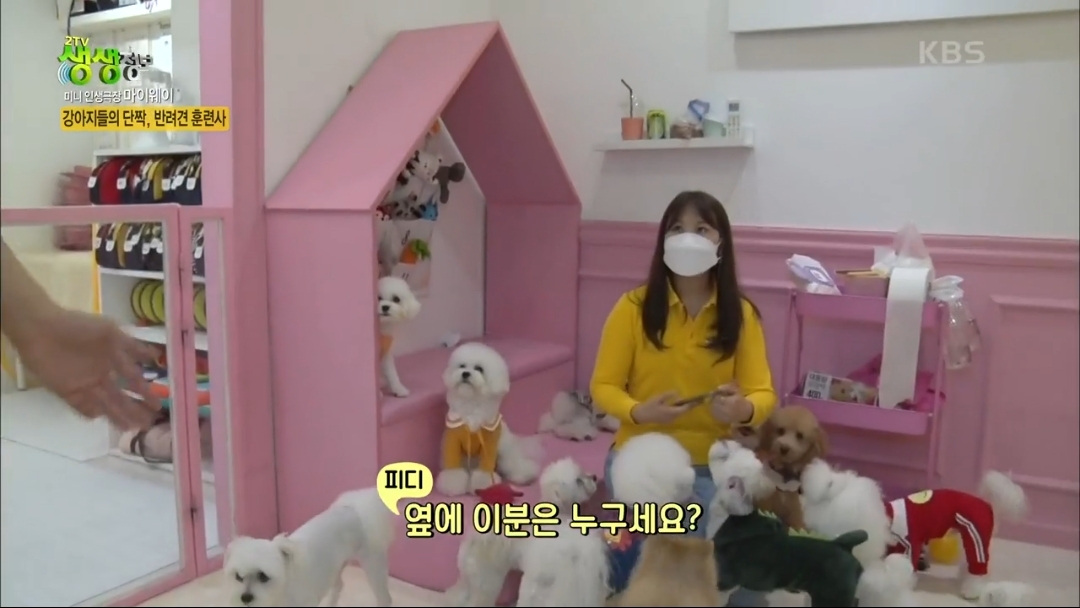 강아지 유치원.jpg | 인스티즈