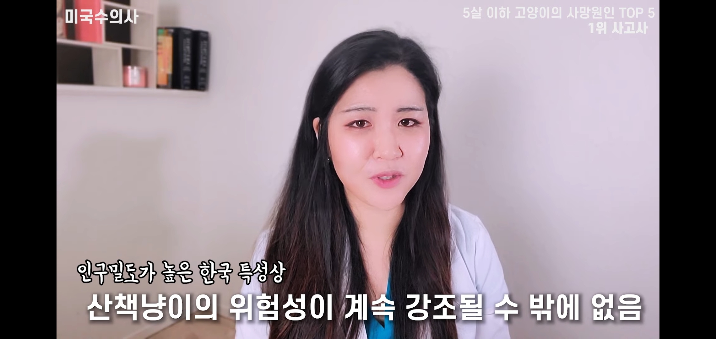 고양이 산책? 하지마!!!!! | 인스티즈