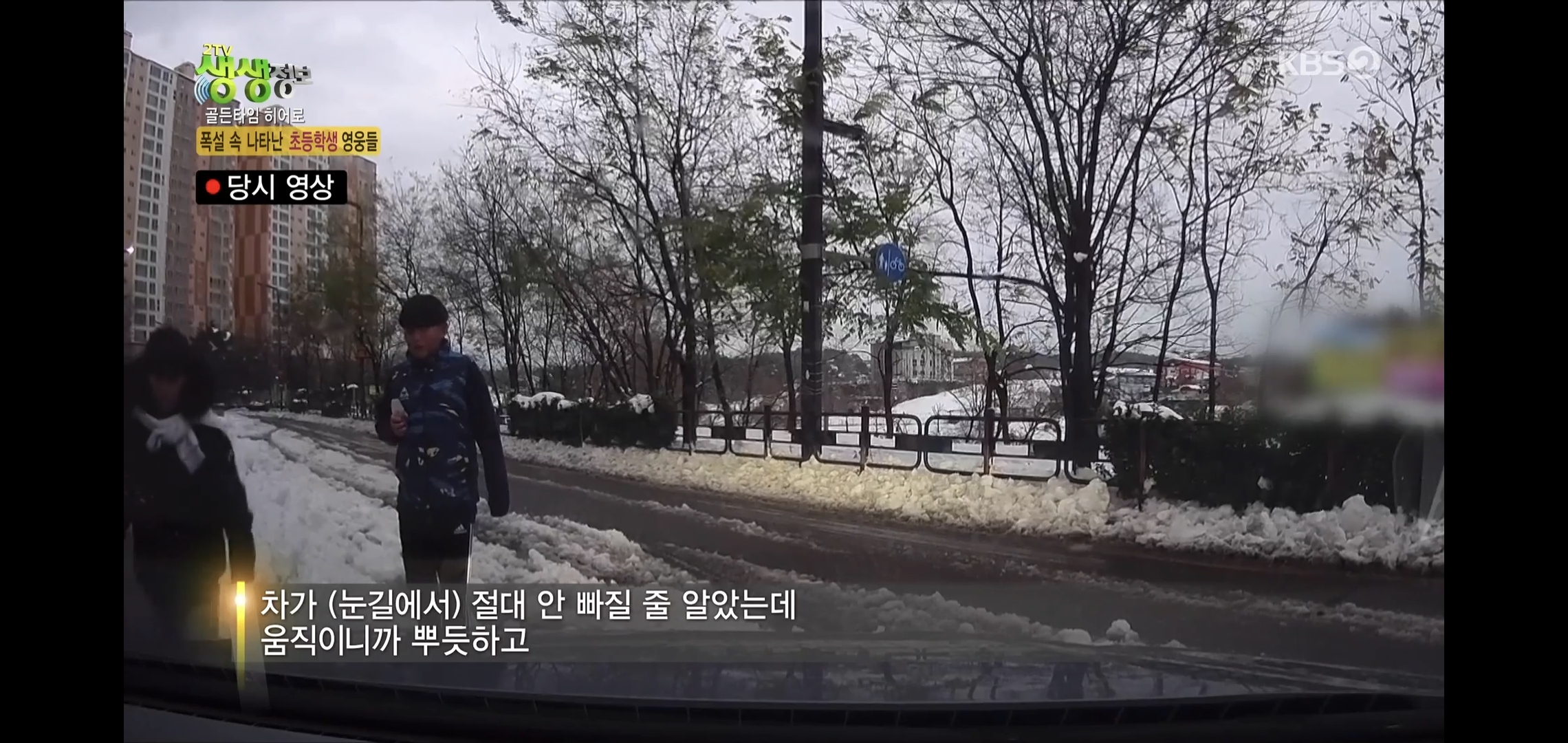 방금 생생정보통에 저번 폭설에 이슈였던 여시 나옴.jpg | 인스티즈