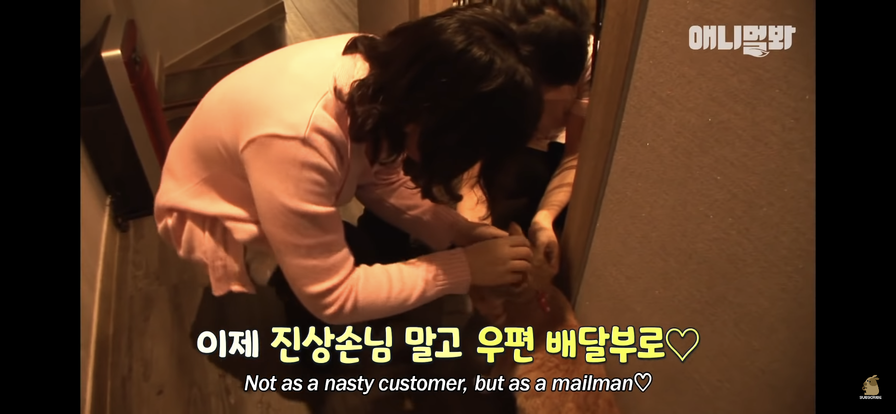 길고양이 목에 쪽지를 달자 생긴 영화같은 일 | 인스티즈