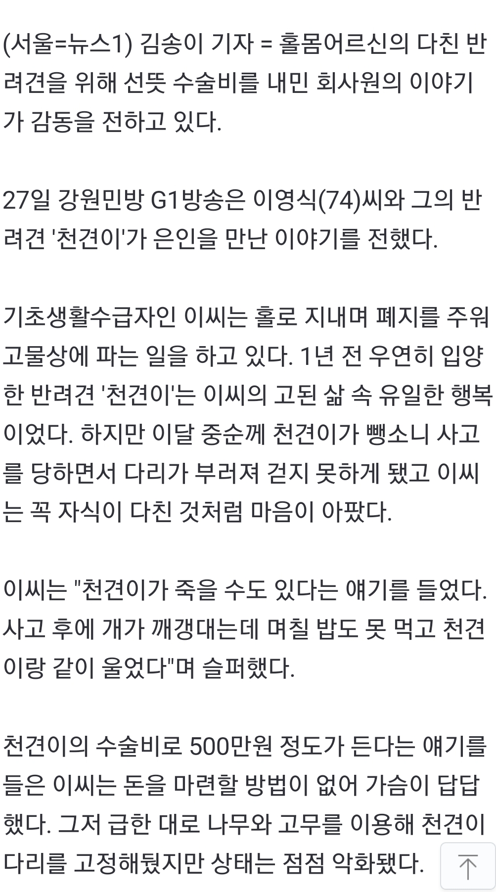 홀몸노인 반려견, 수술비 없어 죽음 기다리다…'우연한 만남' 회사원이 쾌척 | 인스티즈