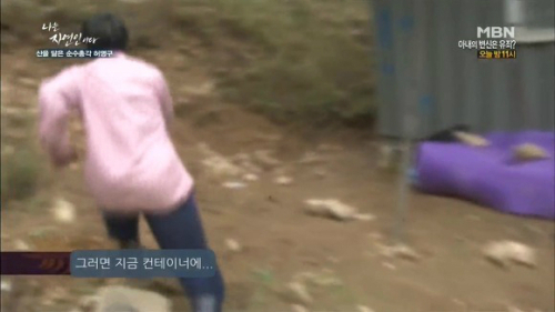 INFP만 사는 나라 이야기 | 인스티즈