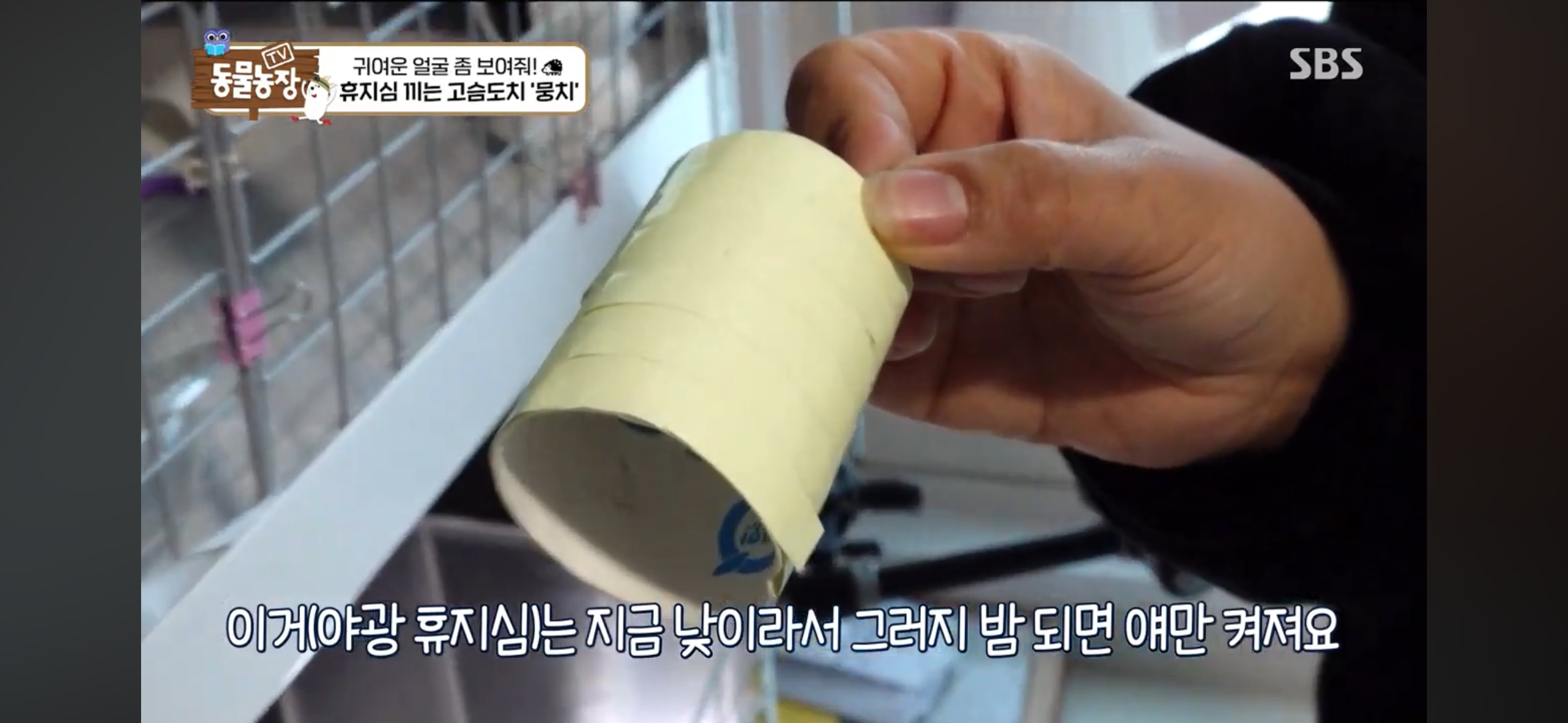 따봉고슴도치 휴지심 좋아도치 | 인스티즈