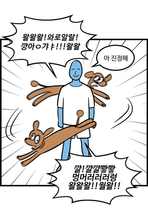 푸들의 우다다가 끝나는 시기.jpg | 인스티즈