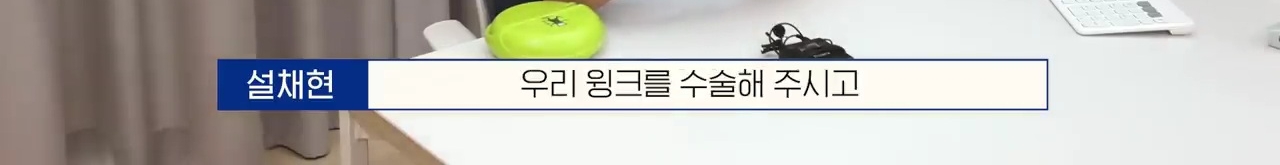 교통사고난 유기견 입양한 설채현 수의사 그리고 윙크 근황😉 | 인스티즈