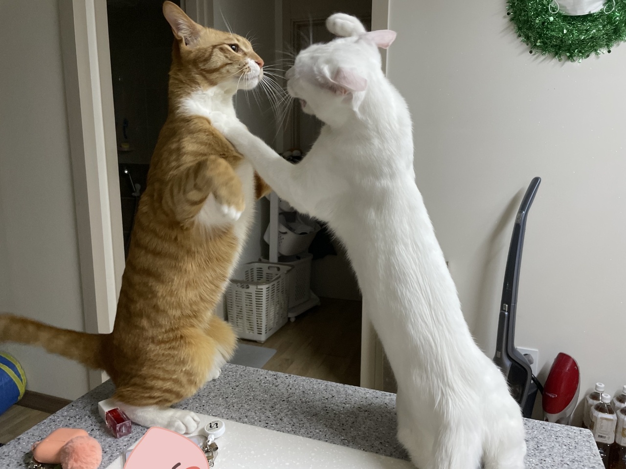 가... | 인스티즈