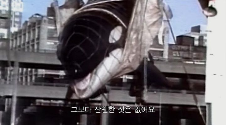 어느날 소방서에 고래가 조련사를 잡아 먹었다는 신고가 들어왔다 .jpg (스압주의) | 인스티즈