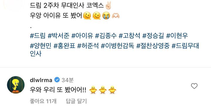 아이유가 인스타에 달고 있는 댓글 | 인스티즈