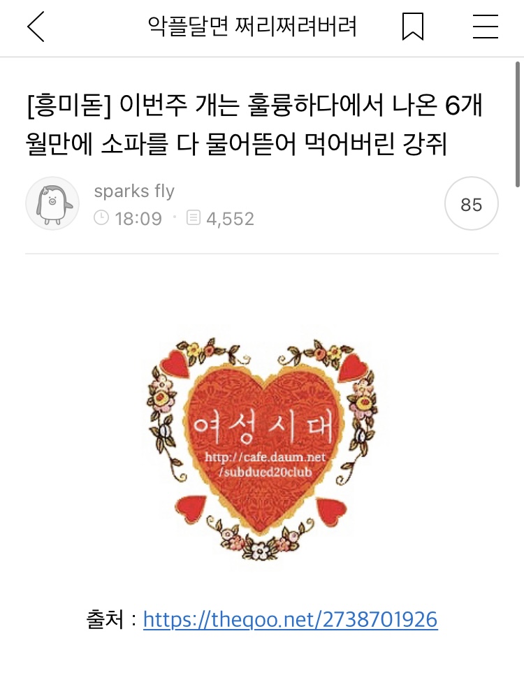 쫌쫌따리 모은 여캡 | 인스티즈