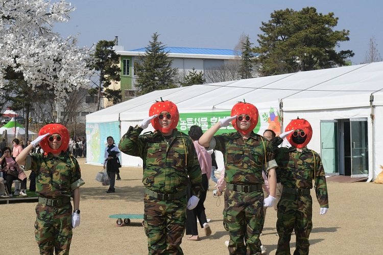 "나이 먹어서 그런가 무근본 지역 축제가 점점 흥미롭게 느껴짐" | 인스티즈