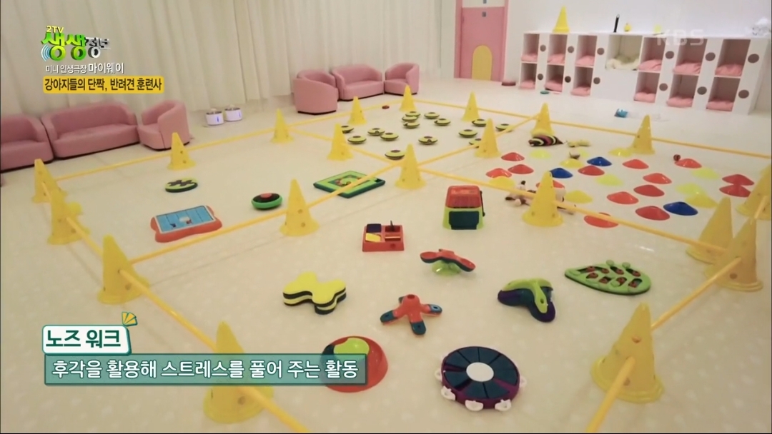 강아지 유치원.jpg | 인스티즈