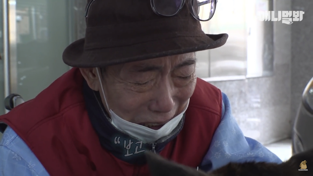 1년만에 자신을 두고 간 주인을 만난 강아지 반응 | 인스티즈