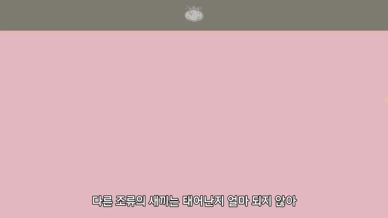 거리에 비둘기가 이렇게 많은데 왜 새끼 비둘기는 안 보일까? | 인스티즈