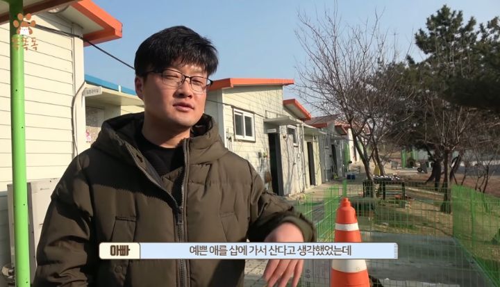 7살 아이 눈에 비친 유기견 보호소는? | 인스티즈