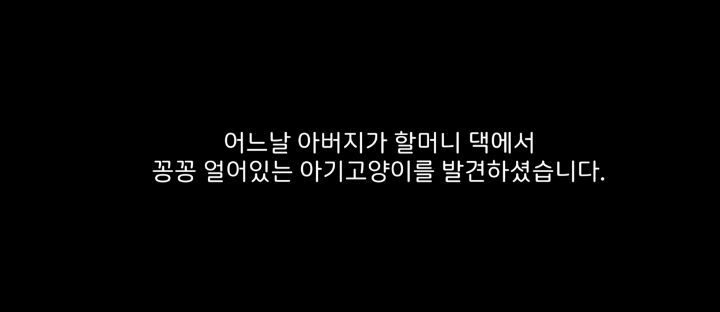 얼어죽어있던 아기고양이를 녹였더니.. | 인스티즈