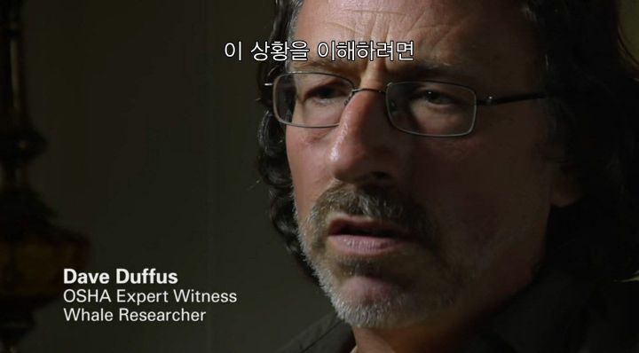 어느날 소방서에 고래가 조련사를 잡아 먹었다는 신고가 들어왔다 .jpg (스압주의) | 인스티즈