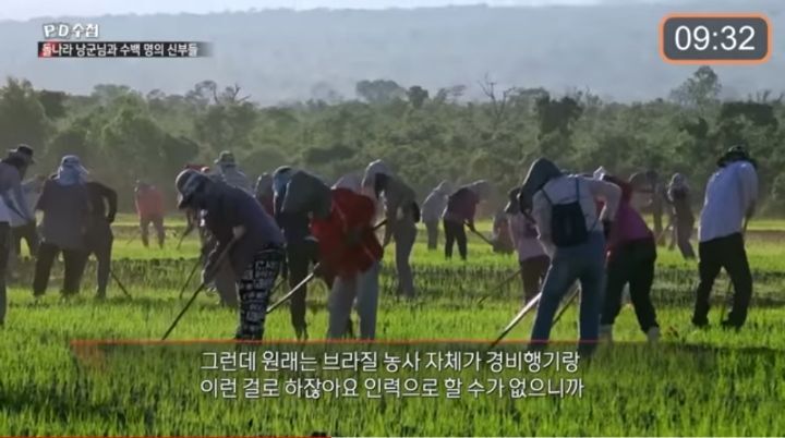 70대 교주의 애를 낳겠다고 노래부르는 아이들 feat.사이비 | 인스티즈