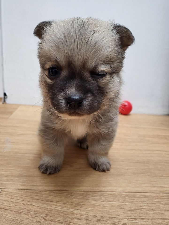 (공지라니... ++추가)새로생긴 회사 복지.. 미쳐서 도저히 일을 못하겠네.. (추가....)++추가 | 인스티즈