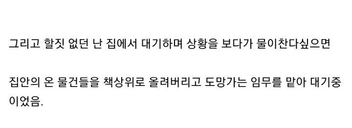 태풍 3번이면 고양이를 얻는다. jpg | 인스티즈