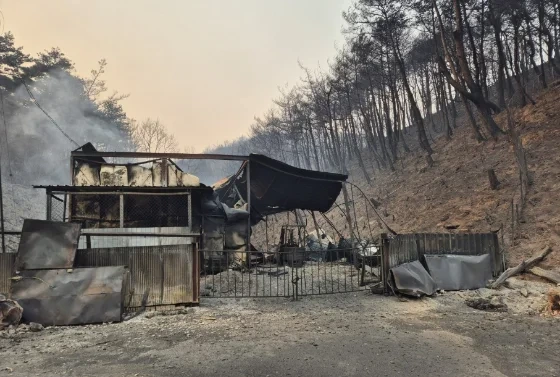 산불에 8일 못 씻은 할머니들, '목욕탕' 모셔갔더니… | 인스티즈