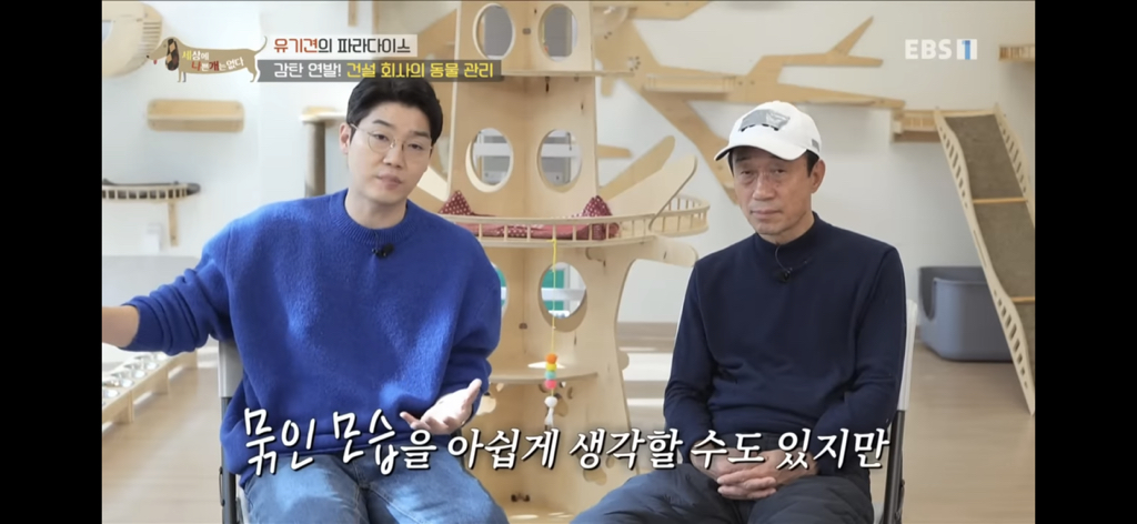 [세상에나쁜개는없다] 유기견의 파라다이스 | 인스티즈